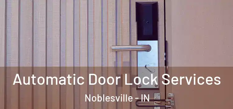 Automatic Door Lock Services Noblesville - IN