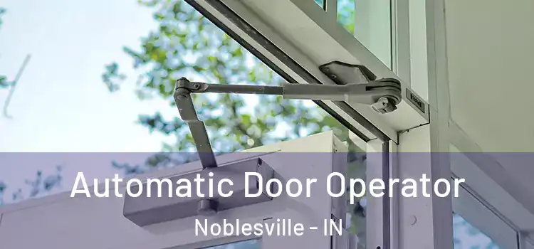 Automatic Door Operator Noblesville - IN