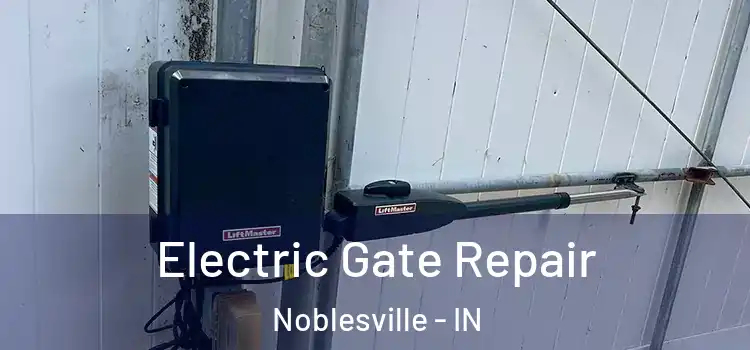 Electric Gate Repair Noblesville - IN