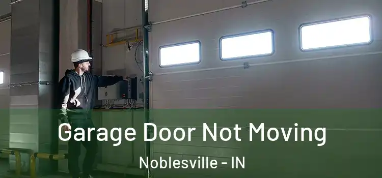  Garage Door Not Moving Noblesville - IN
