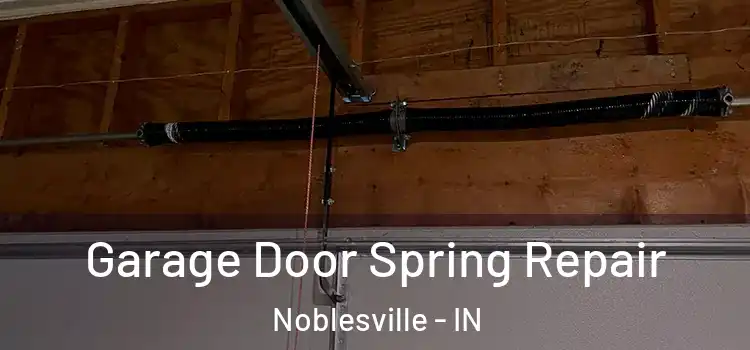  Garage Door Spring Repair Noblesville - IN