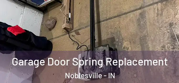  Garage Door Spring Replacement Noblesville - IN