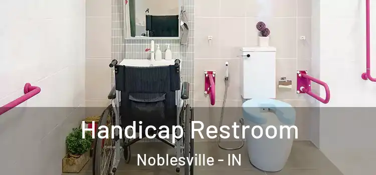 Handicap Restroom Noblesville - IN