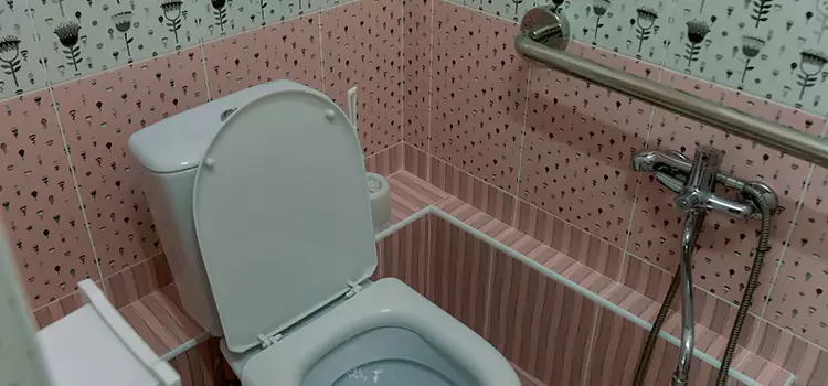 Meeting Diverse Needs With Accessible Restroom Solutions in Noblesville, IN