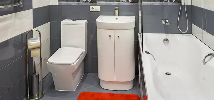 Hansgrohe Shaving Mirror Noblesville