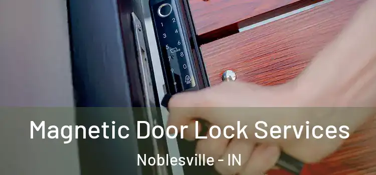 Magnetic Door Lock Services Noblesville - IN